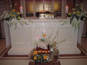 +chiesa coro 027