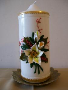 +fiori 009