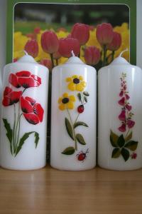 +fiori 013
